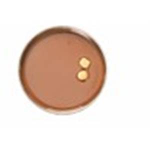 Pâte Pure Noisettes Grillées Piémont 3.0Kg