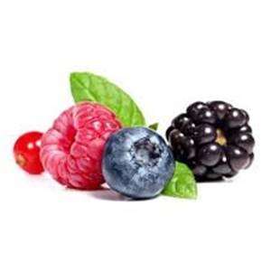 Stracciatella Fruits des bois - Boite 0.9Kg 