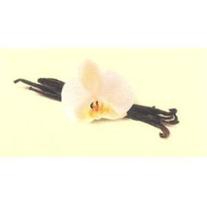 Pate vanille bourbon 1.0Kg